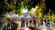 ARMAGNAC EN FÊTE - A la gloire de l’eau de vie gasconne